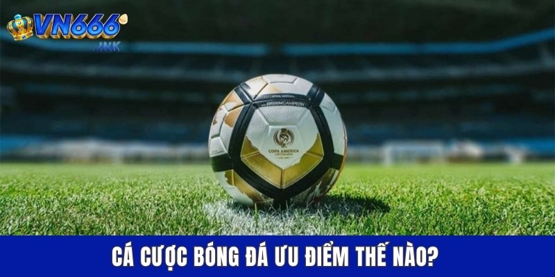 Cá cược bóng đá ưu điểm thế nào?