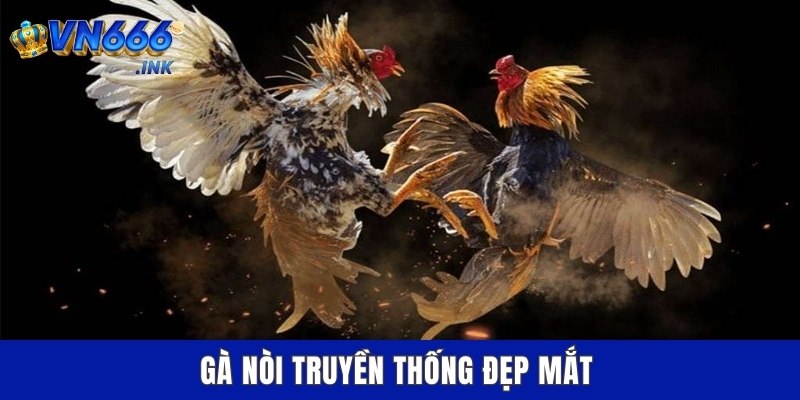 Gà nòi truyền thống đẹp mắt