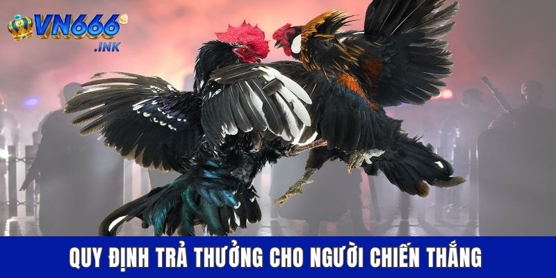 Quy định trả thưởng cho người chiến thắng