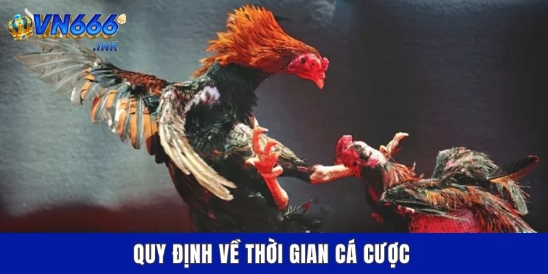 Quy định về thời gian cá cược