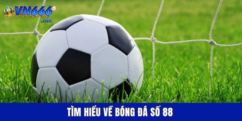 Tìm hiểu về bóng đá số 88