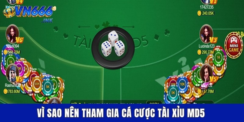 Vì sao nên tham gia cá cược tài xỉu MD5